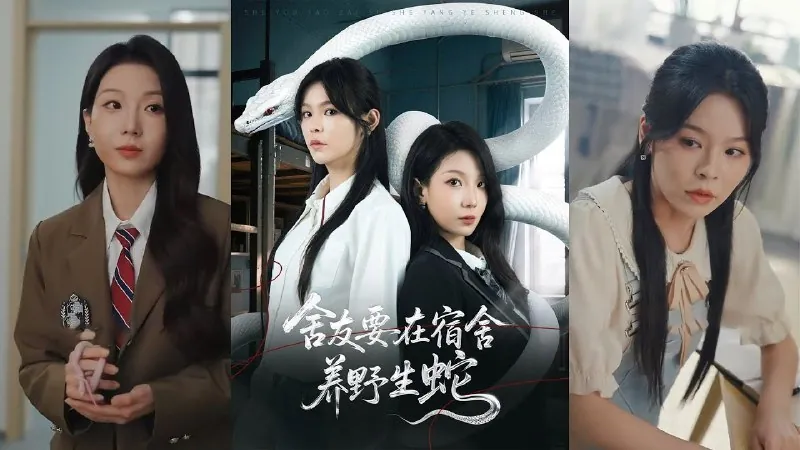逆旨换亲录